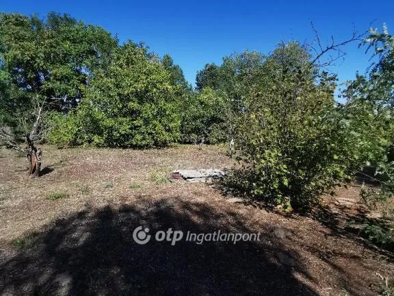 Eladó üdülő és hétvégi ház Cegléd 47 nm