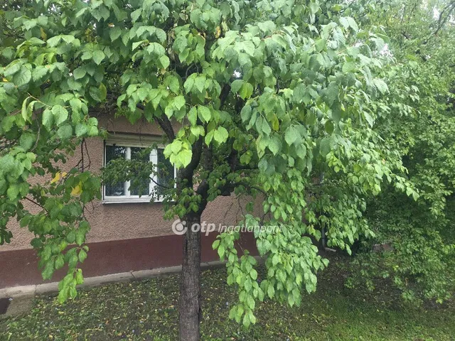 Eladó ház Abony 148 nm