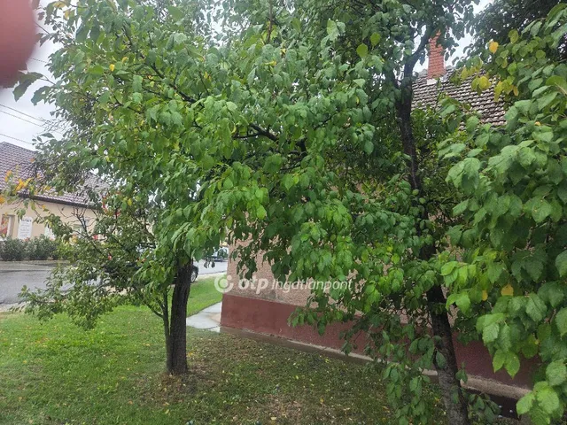 Eladó ház Abony 148 nm