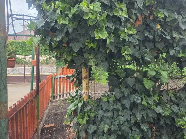 Eladó ház Abony 148 nm