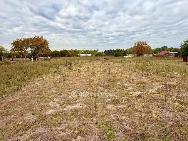 Eladó telek Cegléd 2489 nm