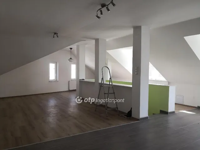 Eladó ház Kecskemét 235 nm