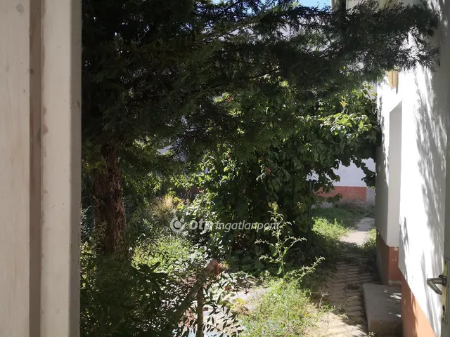 Eladó ház Kecskemét 235 nm