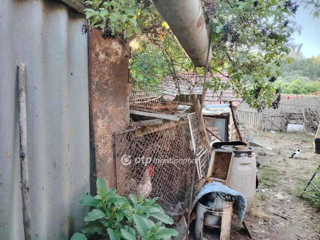 Eladó ház Kunszentmárton 60 nm