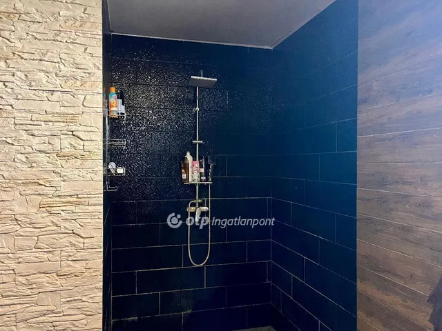 Eladó ház Cegléd 187 nm