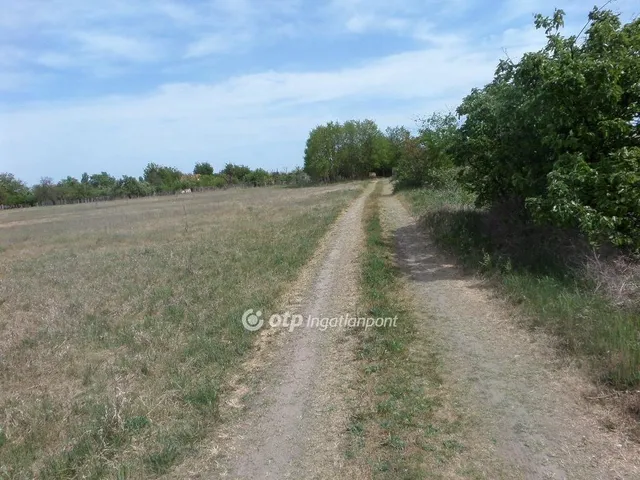 Eladó telek Kecskemét, Kisfái 6195 nm