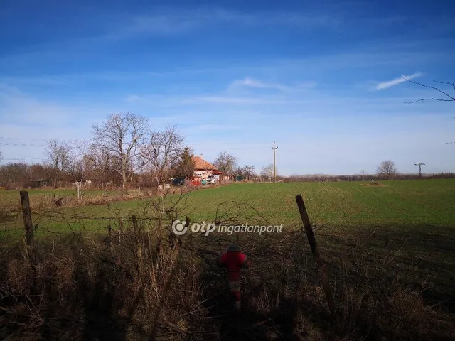 Eladó mezőgazdasági ingatlan Kecskemét 21600 nm