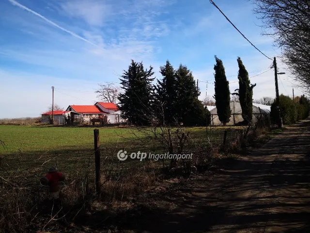 Eladó mezőgazdasági ingatlan Kecskemét 21600 nm