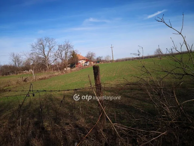 Eladó mezőgazdasági ingatlan Kecskemét 21600 nm