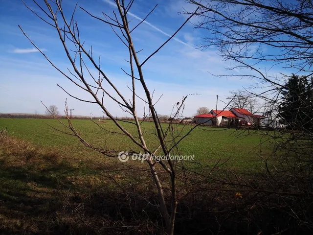 Eladó mezőgazdasági ingatlan Kecskemét 21600 nm