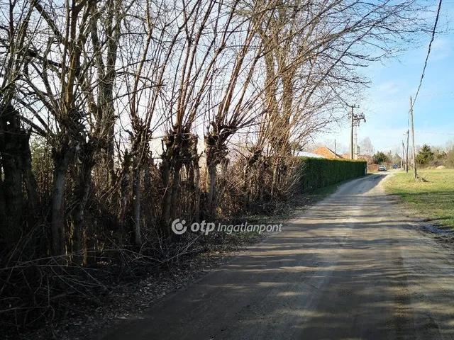 Eladó mezőgazdasági ingatlan Kecskemét 21600 nm