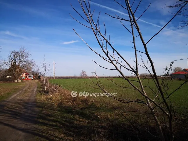 Eladó mezőgazdasági ingatlan Kecskemét 21600 nm