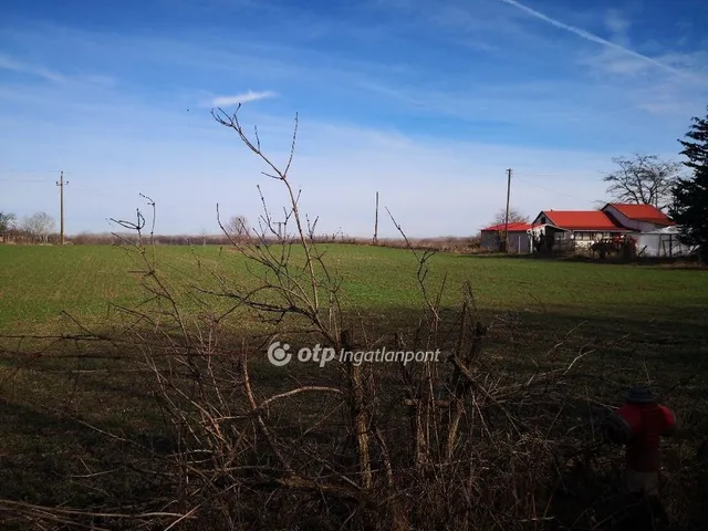 Eladó mezőgazdasági ingatlan Kecskemét 21600 nm