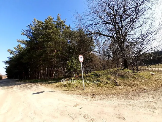 Eladó kereskedelmi és ipari ingatlan Kecskemét 31327 nm
