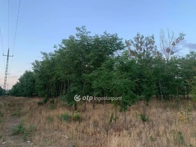 Eladó mezőgazdasági ingatlan Kiskunfélegyháza 132394 nm
