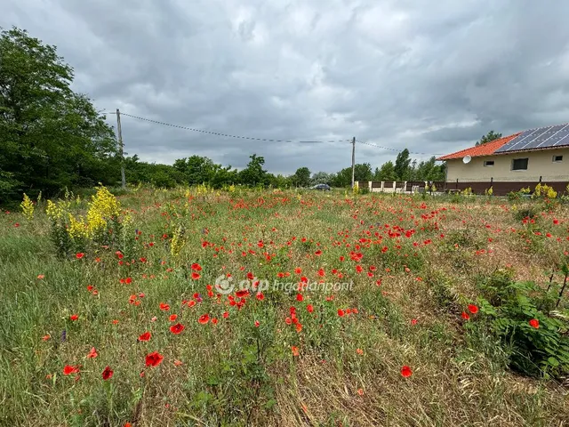 Eladó telek Délegyháza 935 nm