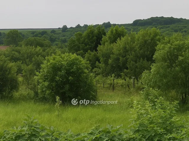 Eladó telek Demjén 1289 nm