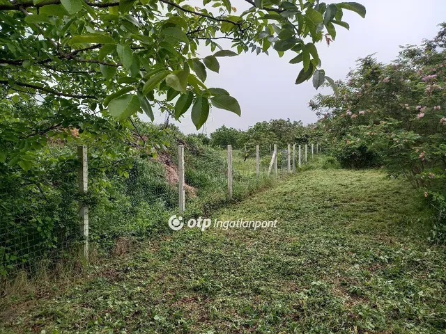 Eladó telek Délegyháza 1501 nm