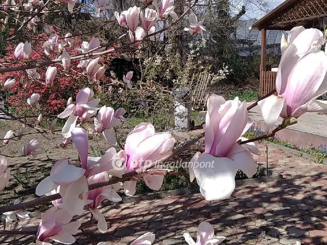 Eladó ház Szigetszentmiklós 159 nm