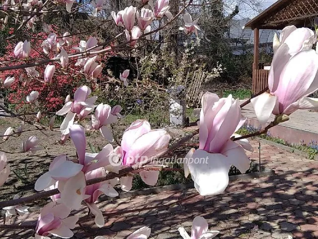 Eladó ház Szigetszentmiklós 159 nm
