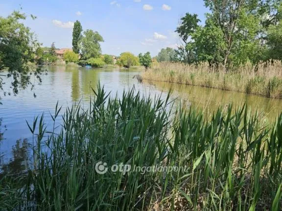 Eladó üdülő és hétvégi ház Dunaharaszti, Paradicsomsziget 68 nm