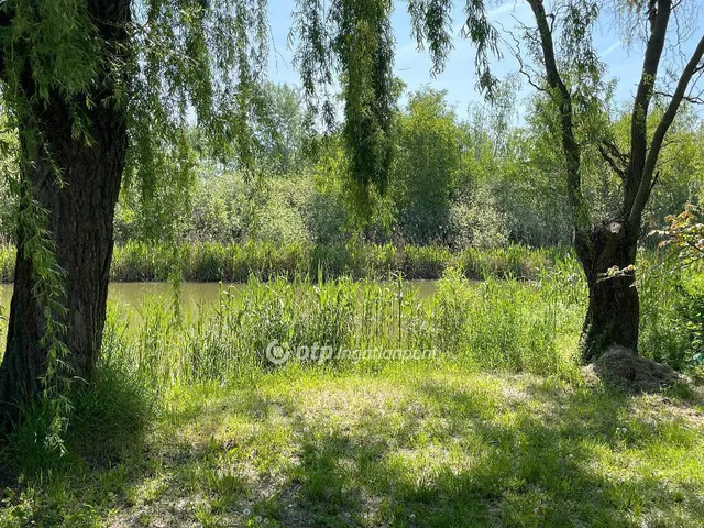 Eladó üdülő és hétvégi ház Dunaharaszti, Paradicsomsziget 68 nm