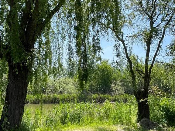 Eladó üdülő és hétvégi ház Dunaharaszti, Paradicsomsziget 68 nm