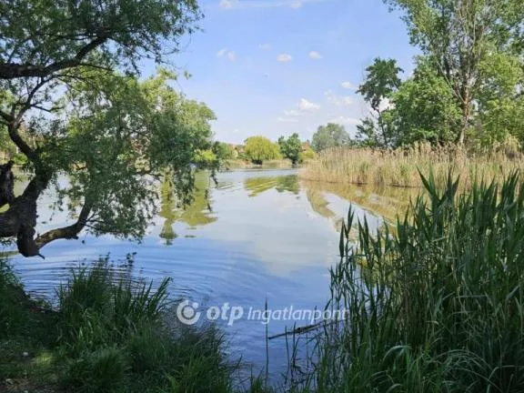 Eladó üdülő és hétvégi ház Dunaharaszti, Paradicsomsziget 68 nm