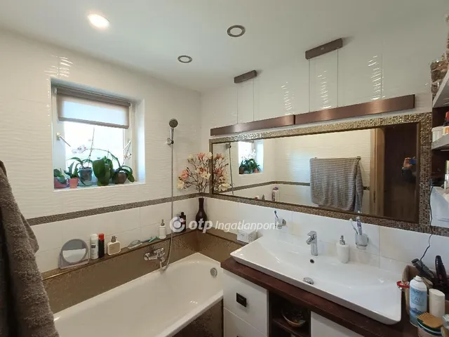 Eladó ház Délegyháza 170 nm