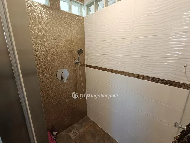 Eladó ház Délegyháza 170 nm