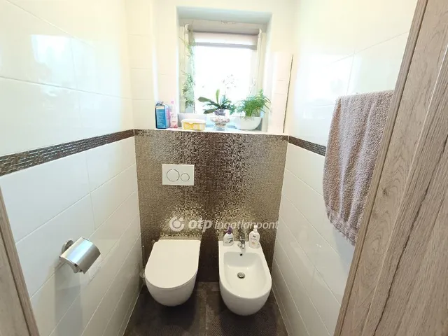 Eladó ház Délegyháza 170 nm