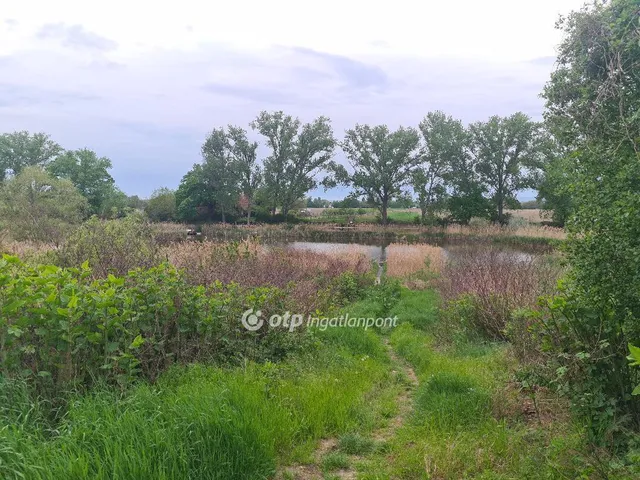 Eladó telek Taksony 716 nm