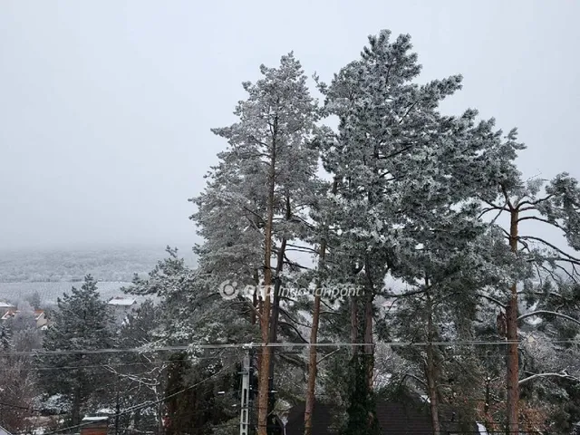 Eladó ház Telki 235 nm