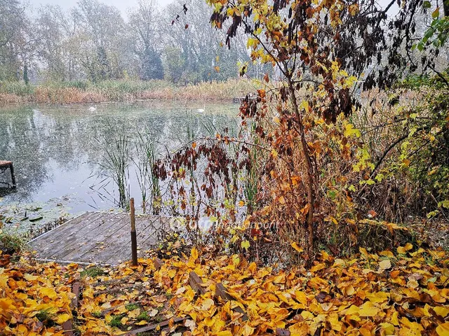 Eladó telek Dömsöd 383 nm