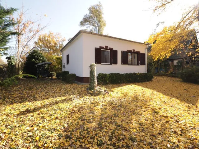 Eladó üdülő és hétvégi ház Dömsöd 38 nm