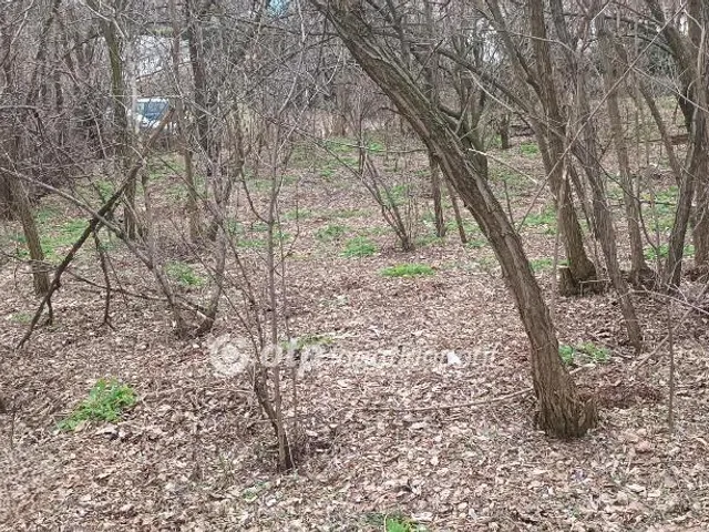 Eladó telek Szigethalom 1847 nm