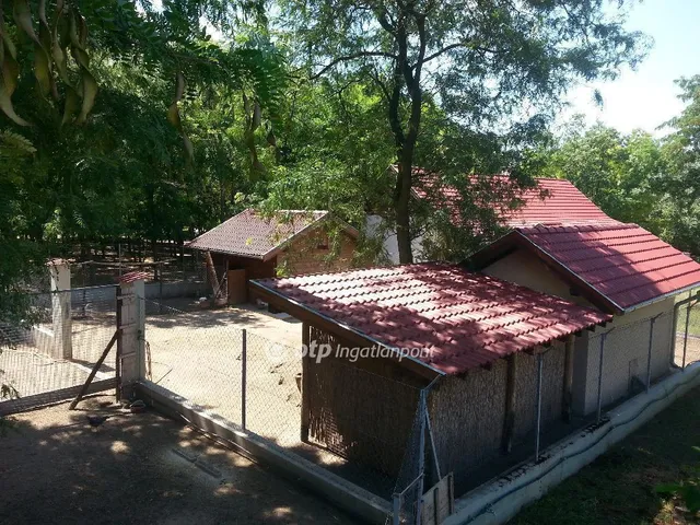 Eladó mezőgazdasági ingatlan Bugyi 230 nm