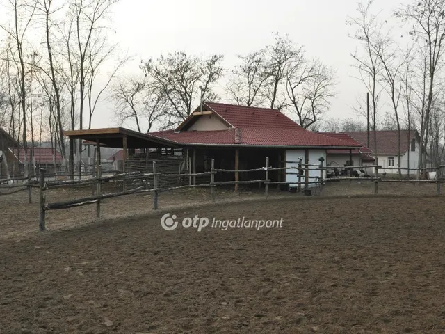 Eladó mezőgazdasági ingatlan Bugyi 230 nm