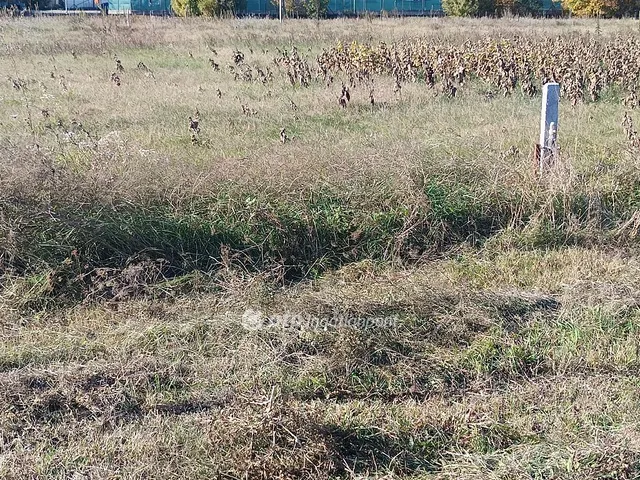 Eladó telek Tököl 677 nm