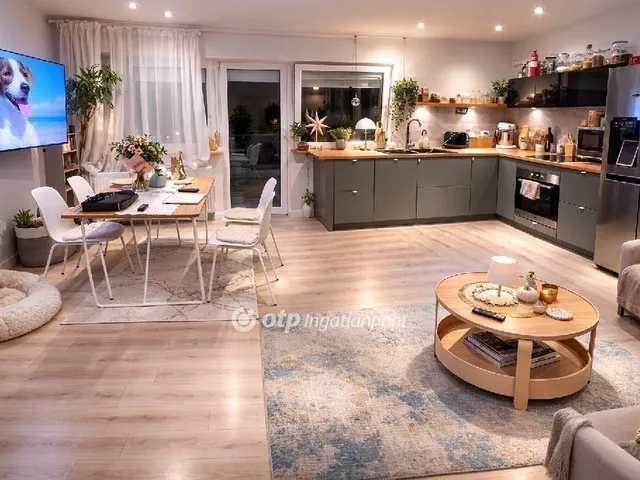 Eladó lakás Halásztelek 56 nm