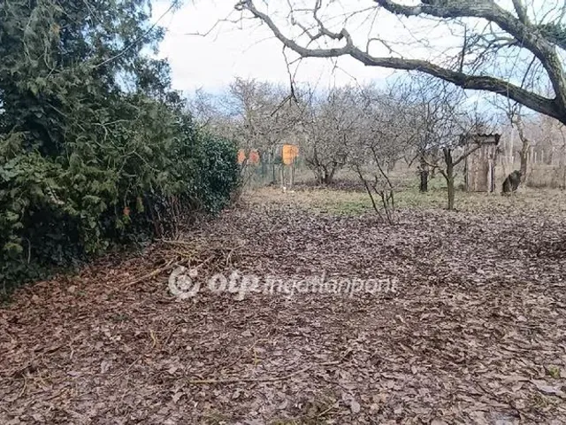 Eladó telek Szigetújfalu 1090 nm