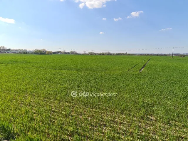 Eladó mezőgazdasági ingatlan Szigetszentmiklós 19285 nm