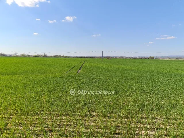 Eladó mezőgazdasági ingatlan Szigetszentmiklós 19285 nm