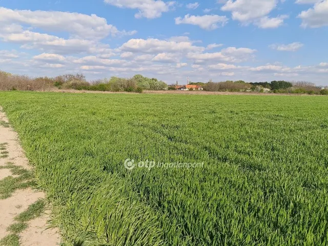 Eladó telek Szigetszentmiklós 1144 nm