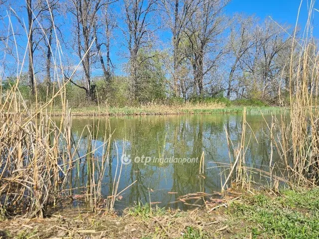 Eladó üdülő és hétvégi ház Dömsöd 30 nm