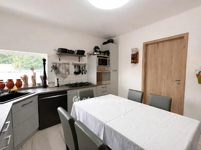 Eladó ház Délegyháza 186 nm