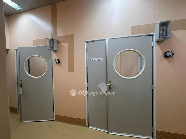 Eladó kereskedelmi és ipari ingatlan Vecsés 364 nm