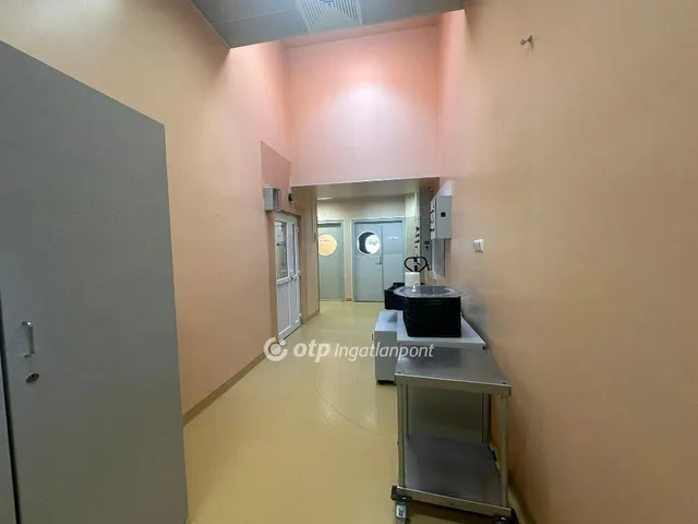 Eladó kereskedelmi és ipari ingatlan Vecsés 364 nm
