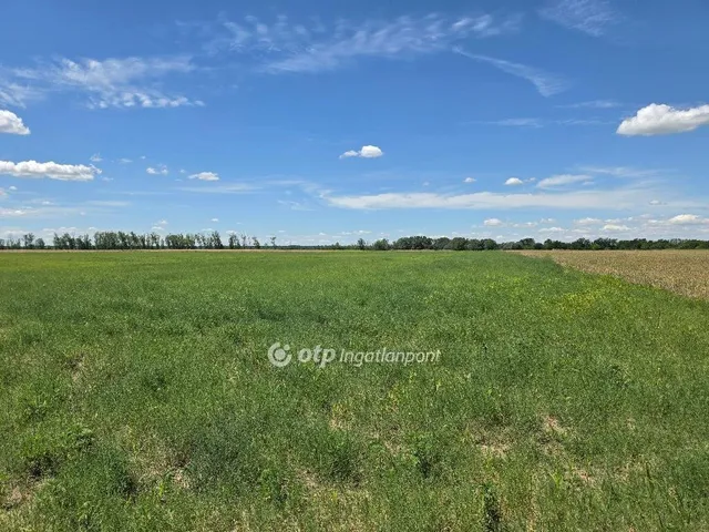 Eladó mezőgazdasági ingatlan Dömsöd 38146 nm