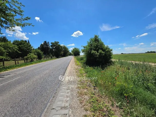 Eladó mezőgazdasági ingatlan Dömsöd 38146 nm